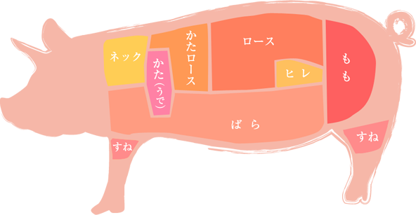 豚肉の部位